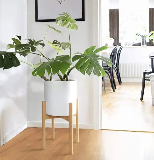Natural Wood Minimalist Plant Stand