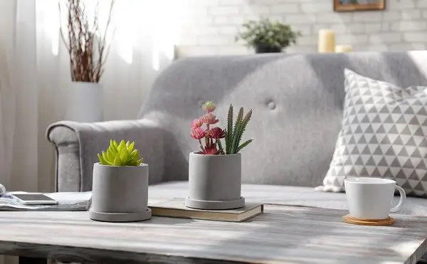 Natural Cement Planters