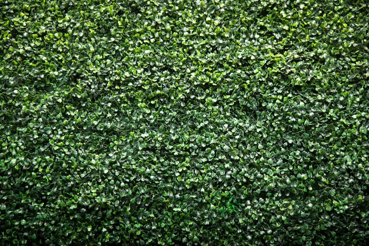Faux Plant Wall