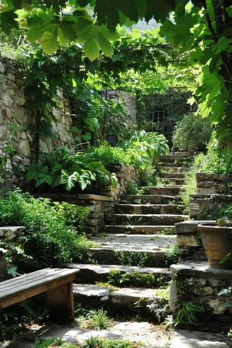 Old World Charm With Vine-Covered Stone Stairs